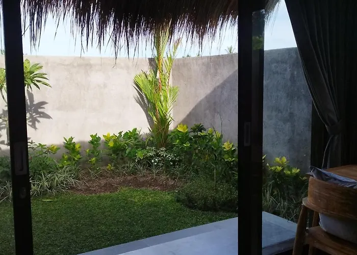 Villa Avocado House - Private House With Garden View