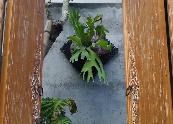 Avocado House - Private House With Garden View * Ubud (Bali)